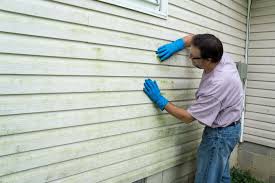 Best Insulated Siding Installation  in North Wilkesboro, NC